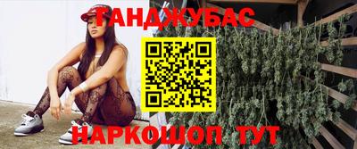 МДПВ Краснознаменск