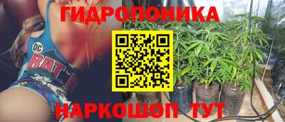 СК Краснодар