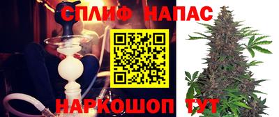 СК Краснодар