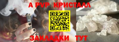 СК Краснодар