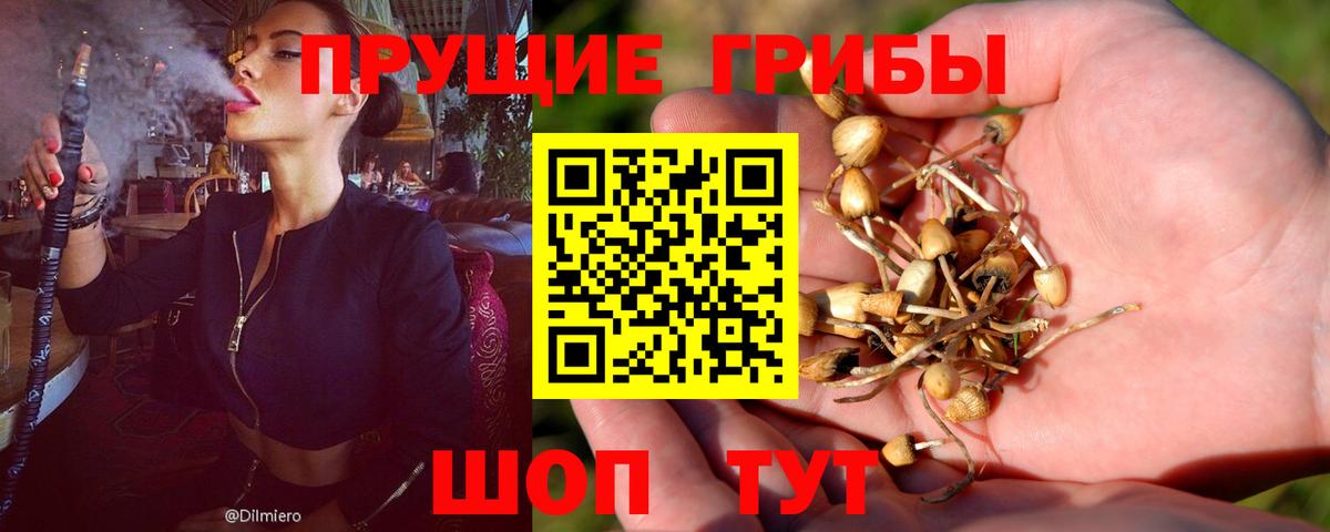 Псилоцибиновые грибы прущие грибы Екатеринбург
